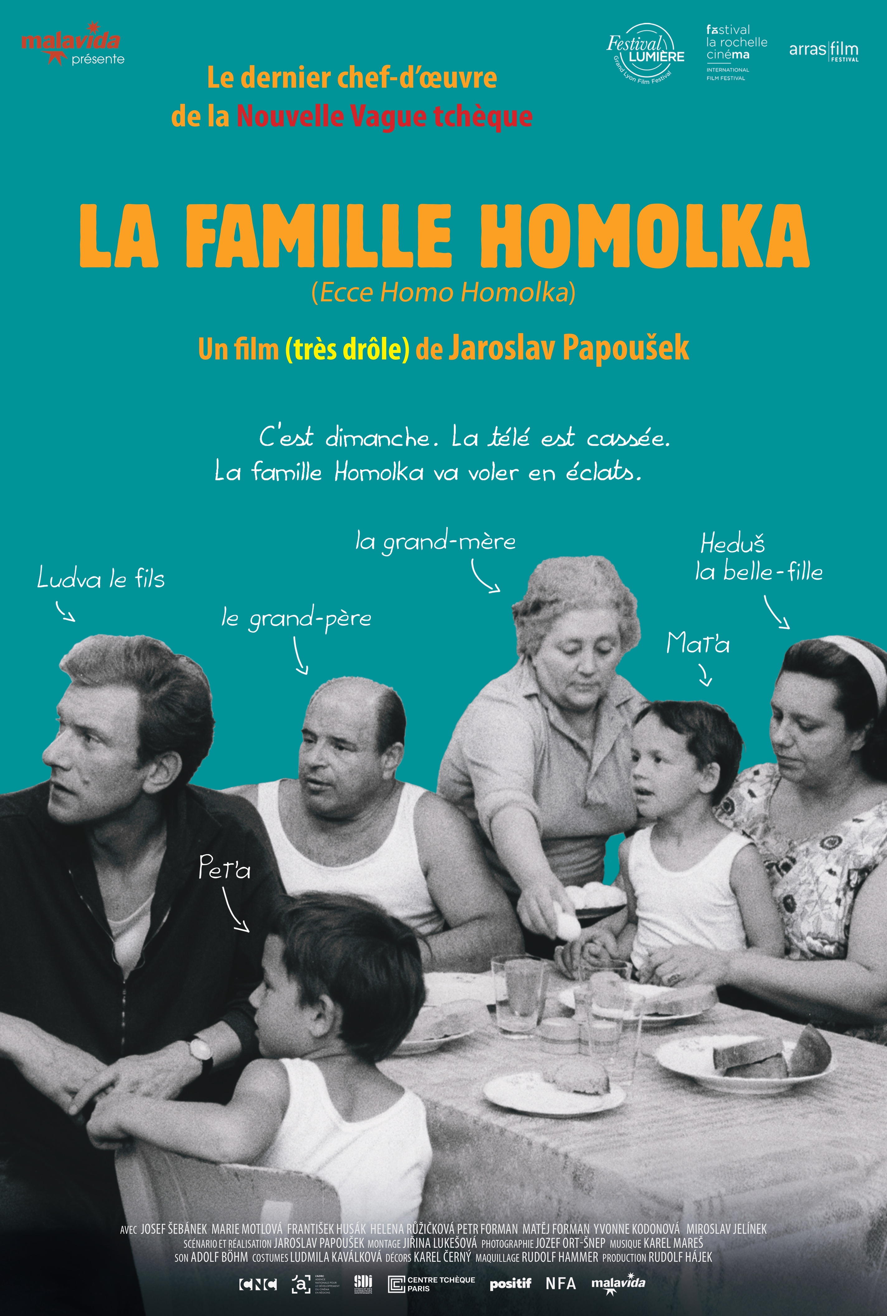 Affiche du film : La famille Homolka
